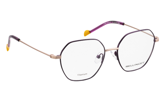 LESS-TITANIUM-2-6592  51/16-138 оправа Bellinger с футляром и салфеткой 